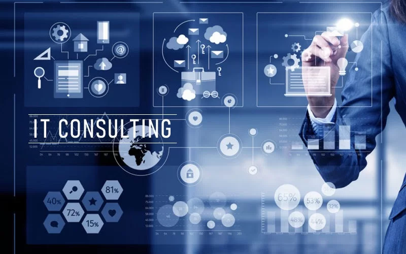 Software Consulting Services